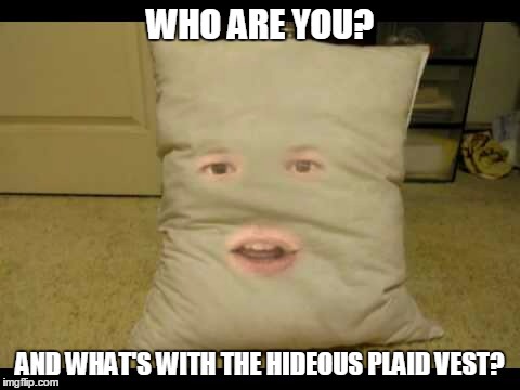WHO ARE YOU? AND WHAT'S WITH THE HIDEOUS PLAID VEST? | made w/ Imgflip meme maker