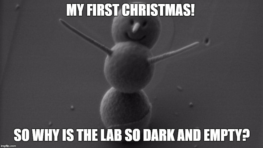 Smallest Snowman in the World | MY FIRST CHRISTMAS! SO WHY IS THE LAB SO DARK AND EMPTY? | image tagged in home alone,snowman,nanofabrication,canada,small,smallest | made w/ Imgflip meme maker