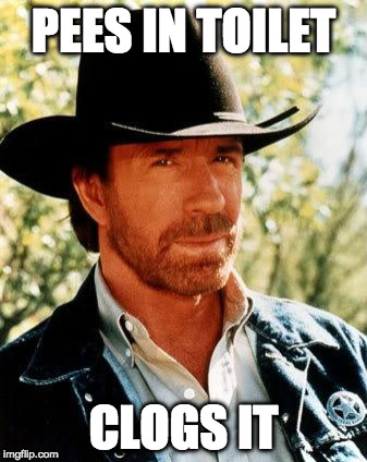 Seriously, I've been laughing at Norris jokes for over 10 years! What's the MEME that never gets old to you? | PEES IN TOILET; CLOGS IT | image tagged in memes,chuck norris,toilet,clogs,what year is it,bacon | made w/ Imgflip meme maker