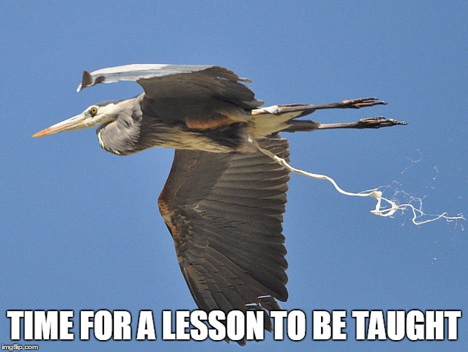 TIME FOR A LESSON TO BE TAUGHT | made w/ Imgflip meme maker