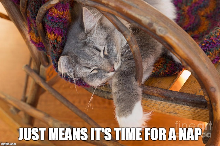 JUST MEANS IT'S TIME FOR A NAP | made w/ Imgflip meme maker