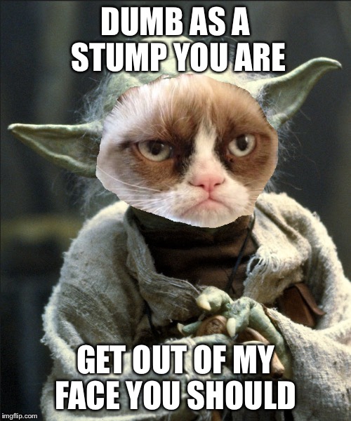 DUMB AS A STUMP YOU ARE; GET OUT OF MY FACE YOU SHOULD | image tagged in grumpy yoda | made w/ Imgflip meme maker