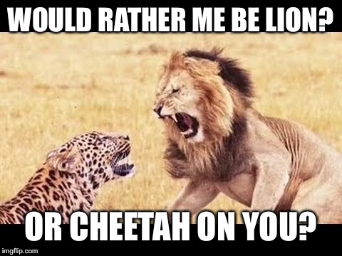 WOULD RATHER ME BE LION? OR CHEETAH ON YOU? | made w/ Imgflip meme maker