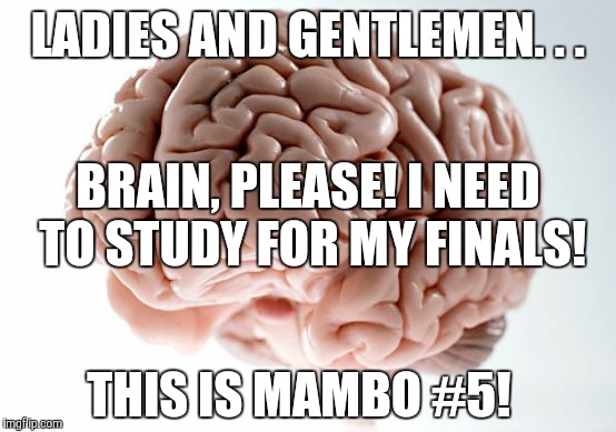 Blank Scumbag Brain | LADIES AND GENTLEMEN. . . BRAIN, PLEASE! I NEED TO STUDY FOR MY FINALS! THIS IS MAMBO #5! | image tagged in blank scumbag brain | made w/ Imgflip meme maker