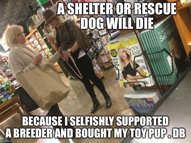 A SHELTER OR RESCUE DOG WILL DIE; BECAUSE I SELFISHLY SUPPORTED A BREEDER AND BOUGHT MY TOY PUP . DB | image tagged in puppy,adoption,breeder,euthanasia | made w/ Imgflip meme maker