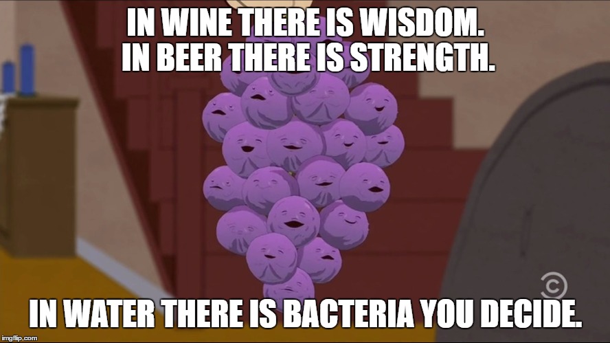 Member Berries | IN WINE THERE IS WISDOM. IN BEER THERE IS STRENGTH. IN WATER THERE IS BACTERIA YOU DECIDE. | image tagged in memes,member berries | made w/ Imgflip meme maker