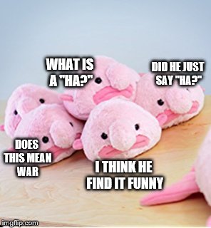 DID HE JUST SAY "HA?" WHAT IS A "HA?" DOES THIS MEAN WAR I THINK HE FIND IT FUNNY | made w/ Imgflip meme maker