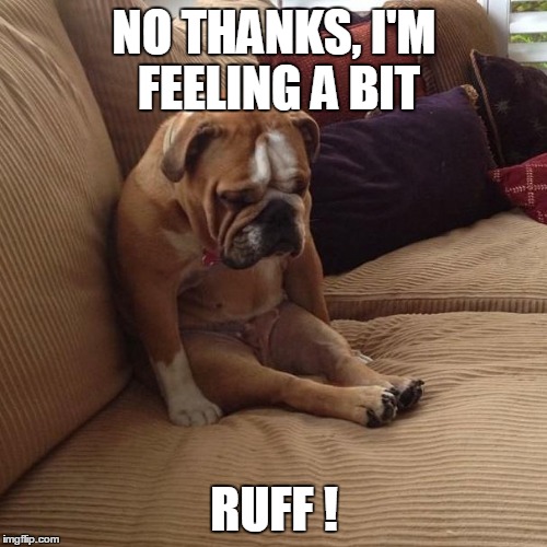 NO THANKS, I'M FEELING A BIT RUFF ! | made w/ Imgflip meme maker