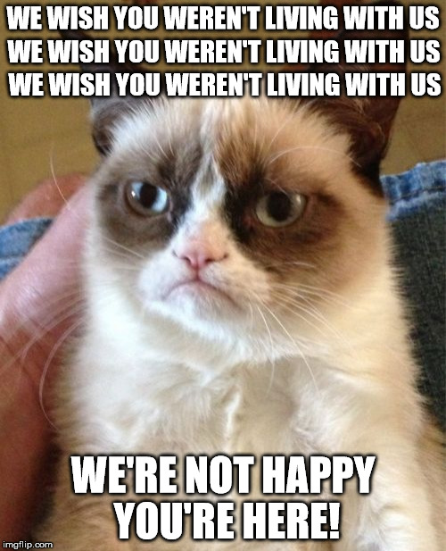 Grumpy Cat | WE WISH YOU WEREN'T LIVING WITH US; WE WISH YOU WEREN'T LIVING WITH US; WE WISH YOU WEREN'T LIVING WITH US; WE'RE NOT HAPPY YOU'RE HERE! | image tagged in memes,grumpy cat | made w/ Imgflip meme maker