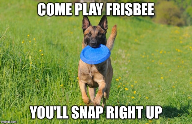 COME PLAY FRISBEE YOU'LL SNAP RIGHT UP | made w/ Imgflip meme maker