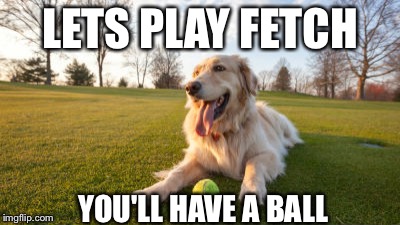 LETS PLAY FETCH; YOU'LL HAVE A BALL | image tagged in memes,funny,bad puns | made w/ Imgflip meme maker