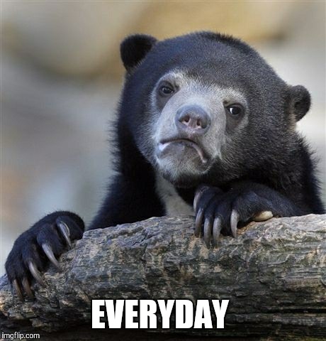 Confession Bear Meme | EVERYDAY | image tagged in memes,confession bear | made w/ Imgflip meme maker