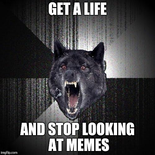 Insanity Wolf | GET A LIFE; AND STOP LOOKING AT MEMES | image tagged in memes,insanity wolf | made w/ Imgflip meme maker