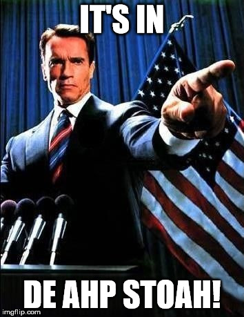 Arnold Schwarzenegger | IT'S IN; DE AHP STOAH! | image tagged in arnold schwarzenegger | made w/ Imgflip meme maker
