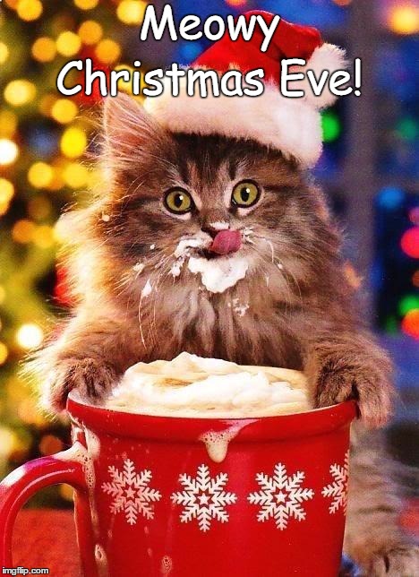 Meowy Christmas Eve! | Meowy; Christmas Eve! | image tagged in xmas cats,cute,santa,hot chocolate,holiday | made w/ Imgflip meme maker