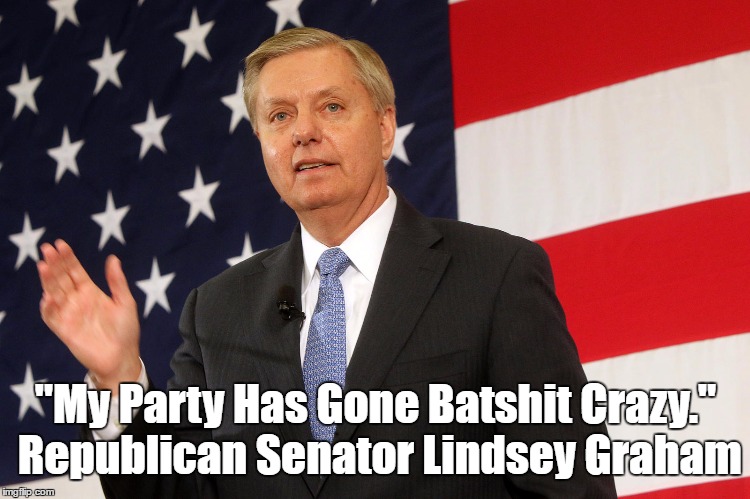 Image result for my party is batshit crazy lindsey graham