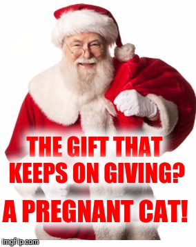"Yule" remember it for generations | THE GIFT THAT KEEPS ON GIVING? A PREGNANT CAT! | image tagged in santa 1,gifts,cats,kittens | made w/ Imgflip meme maker