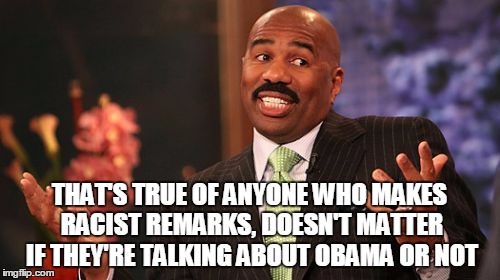 Steve Harvey Meme | THAT'S TRUE OF ANYONE WHO MAKES RACIST REMARKS, DOESN'T MATTER IF THEY'RE TALKING ABOUT OBAMA OR NOT | image tagged in memes,steve harvey | made w/ Imgflip meme maker