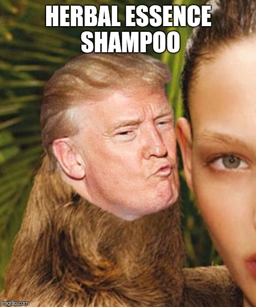 shampoo | HERBAL ESSENCE SHAMPOO | image tagged in trump,shampoo,justjeff | made w/ Imgflip meme maker