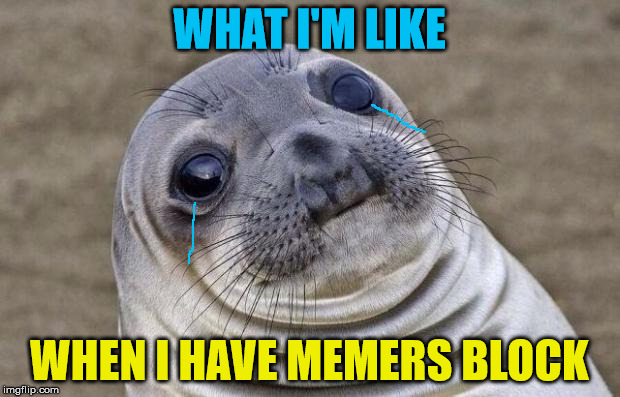 Just thought about making a meme about my memers block | WHAT I'M LIKE; WHEN I HAVE MEMERS BLOCK | image tagged in memes,what i'm like,memers block,sad seal,funny | made w/ Imgflip meme maker