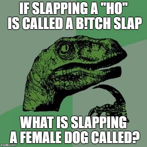 Animal abuse? | IF SLAPPING A "HO" IS CALLED A B!TCH SLAP; WHAT IS SLAPPING A FEMALE DOG CALLED? | image tagged in memes,philosoraptor | made w/ Imgflip meme maker