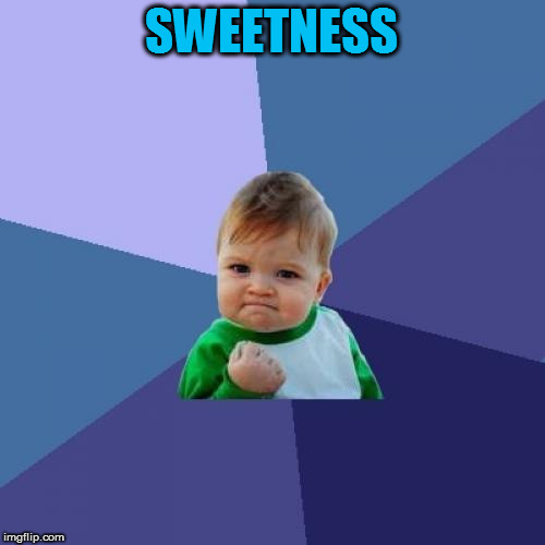 Success Kid Meme | SWEETNESS | image tagged in memes,success kid | made w/ Imgflip meme maker