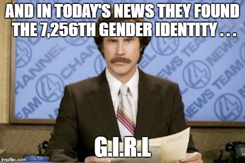 Gamer Gender Identities | AND IN TODAY'S NEWS THEY FOUND THE 7,256TH GENDER IDENTITY . . . G.I.R.L | image tagged in memes,ron burgundy | made w/ Imgflip meme maker