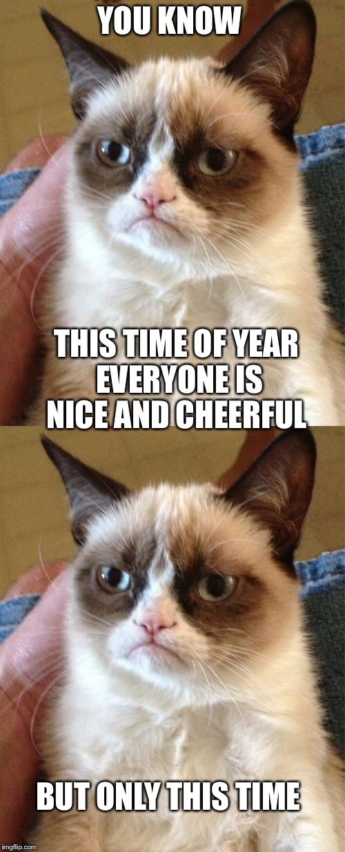 This time of year  | YOU KNOW; THIS TIME OF YEAR EVERYONE IS NICE AND CHEERFUL; BUT ONLY THIS TIME | image tagged in funny,memes,grumpy cat | made w/ Imgflip meme maker
