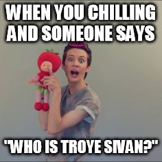 WHEN YOU CHILLING AND SOMEONE SAYS; "WHO IS TROYE SIVAN?" | image tagged in salina | made w/ Imgflip meme maker