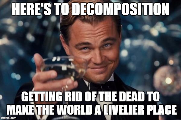 Natures way of helping prevent Zombies | HERE'S TO DECOMPOSITION; GETTING RID OF THE DEAD TO MAKE THE WORLD A LIVELIER PLACE | image tagged in memes,leonardo dicaprio cheers,dead | made w/ Imgflip meme maker