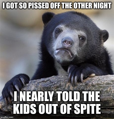 I GOT SO PISSED OFF THE OTHER NIGHT I NEARLY TOLD THE KIDS OUT OF SPITE | image tagged in memes,confession bear | made w/ Imgflip meme maker