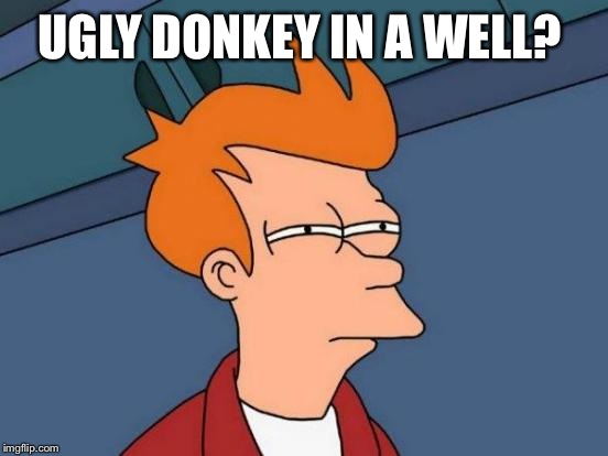 Futurama Fry Meme | UGLY DONKEY IN A WELL? | image tagged in memes,futurama fry | made w/ Imgflip meme maker
