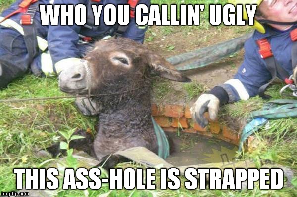 WHO YOU CALLIN' UGLY THIS ASS-HOLE IS STRAPPED | made w/ Imgflip meme maker