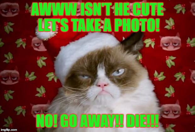 Grumpy Santa Cat | AWWW ISN'T HE CUTE LET'S TAKE A PHOTO! NO! GO AWAY!! DIE!!! | image tagged in grumpy santa cat | made w/ Imgflip meme maker