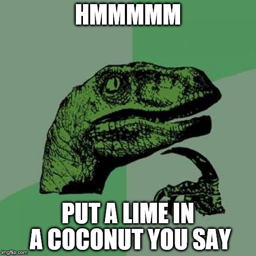 Philosoraptor | HMMMMM; PUT A LIME IN A COCONUT YOU SAY | image tagged in memes,philosoraptor | made w/ Imgflip meme maker