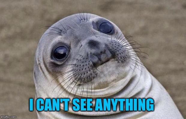 Awkward Moment Sealion Meme | I CAN'T SEE ANYTHING | image tagged in memes,awkward moment sealion | made w/ Imgflip meme maker