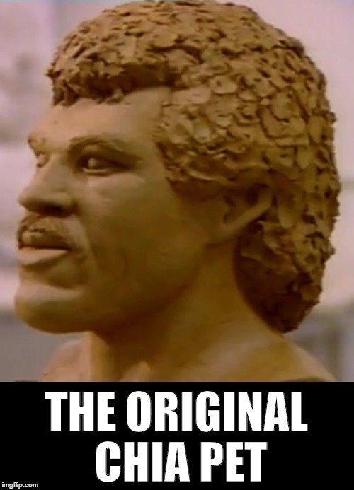 THE ORIGINAL CHIA PET | image tagged in chia richie | made w/ Imgflip meme maker