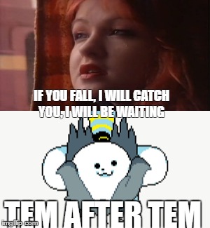 Cydni Lauper Gets Temmed!! | IF YOU FALL, I WILL CATCH YOU, I WILL BE WAITING; TEM AFTER TEM | image tagged in temmed,cydni lauper,undertale,cancer,funny | made w/ Imgflip meme maker