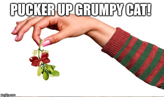 PUCKER UP GRUMPY CAT! | made w/ Imgflip meme maker