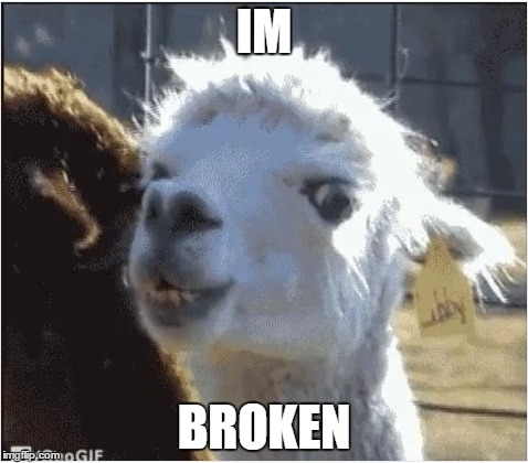 Broken | IM; BROKEN | image tagged in memes | made w/ Imgflip meme maker