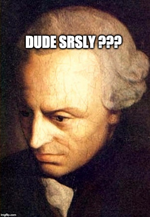 Kant | DUDE SRSLY ??? | image tagged in kant | made w/ Imgflip meme maker