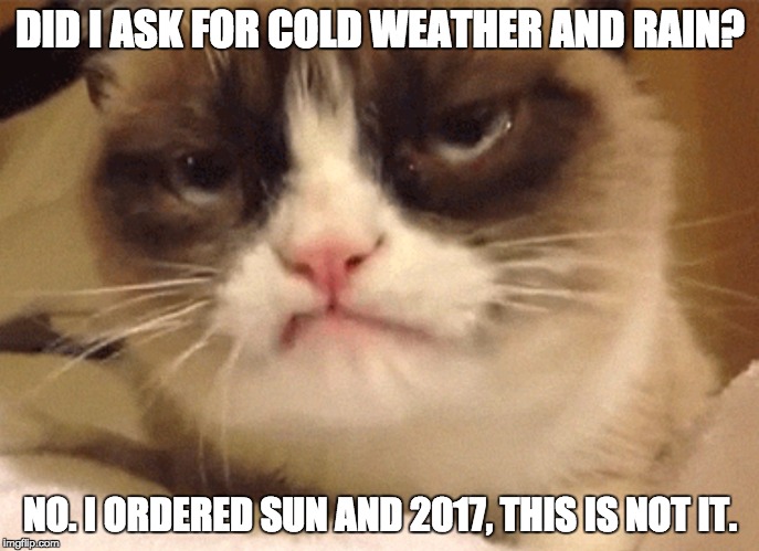 DISAPPROVING GRUMPY CAT | DID I ASK FOR COLD WEATHER AND RAIN? NO. I ORDERED SUN AND 2017, THIS IS NOT IT. | image tagged in disapproving grumpy cat | made w/ Imgflip meme maker