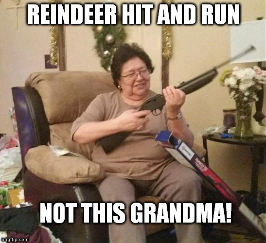 Not this Grandma | REINDEER HIT AND RUN; NOT THIS GRANDMA! | image tagged in reindeer,grandma,christmas,run over,christmas eve,eggnog | made w/ Imgflip meme maker