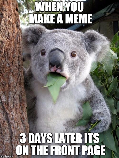 Surprised Koala | WHEN YOU MAKE A MEME; 3 DAYS LATER ITS ON THE FRONT PAGE | image tagged in memes,surprised koala | made w/ Imgflip meme maker