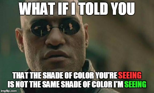 The perception of colors | WHAT IF I TOLD YOU; THAT THE SHADE OF COLOR YOU'RE SEEING IS NOT THE SAME SHADE OF COLOR I'M SEEING; SEEING; SEEING | image tagged in memes,matrix morpheus,colors | made w/ Imgflip meme maker