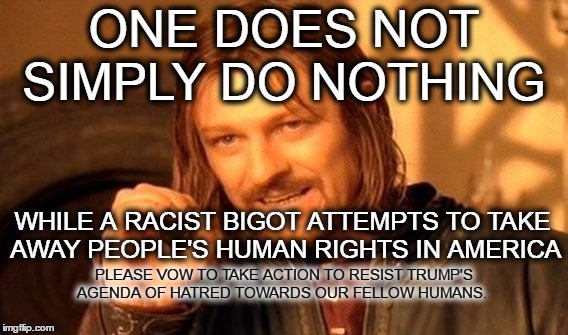 One Does Not Simply Meme | ONE DOES NOT SIMPLY DO NOTHING; WHILE A RACIST BIGOT ATTEMPTS TO TAKE AWAY PEOPLE'S HUMAN RIGHTS IN AMERICA; PLEASE VOW TO TAKE ACTION TO RESIST TRUMP'S AGENDA OF HATRED TOWARDS OUR FELLOW HUMANS. | image tagged in memes,one does not simply | made w/ Imgflip meme maker