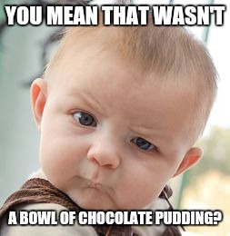 Skeptical Baby Meme | YOU MEAN THAT WASN'T A BOWL OF CHOCOLATE PUDDING? | image tagged in memes,skeptical baby | made w/ Imgflip meme maker