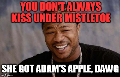 Think Before SMOOCH | YOU DON'T ALWAYS KISS UNDER MISTLETOE; SHE GOT ADAM'S APPLE, DAWG | image tagged in memes,yo dawg heard you,christmas,funny,first world problems,happy holidays | made w/ Imgflip meme maker
