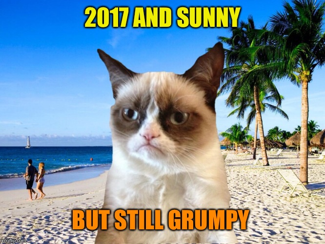 2017 AND SUNNY BUT STILL GRUMPY | made w/ Imgflip meme maker