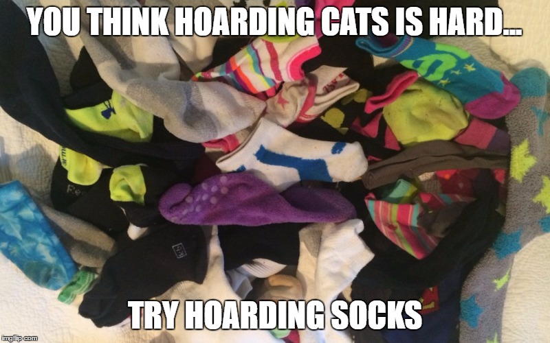 HOW DO THEY ALWAYS DISSAPEAR?! | YOU THINK HOARDING CATS IS HARD... TRY HOARDING SOCKS | image tagged in single,socks,it always happens,why cant i find it,hoarding socks,single socks | made w/ Imgflip meme maker